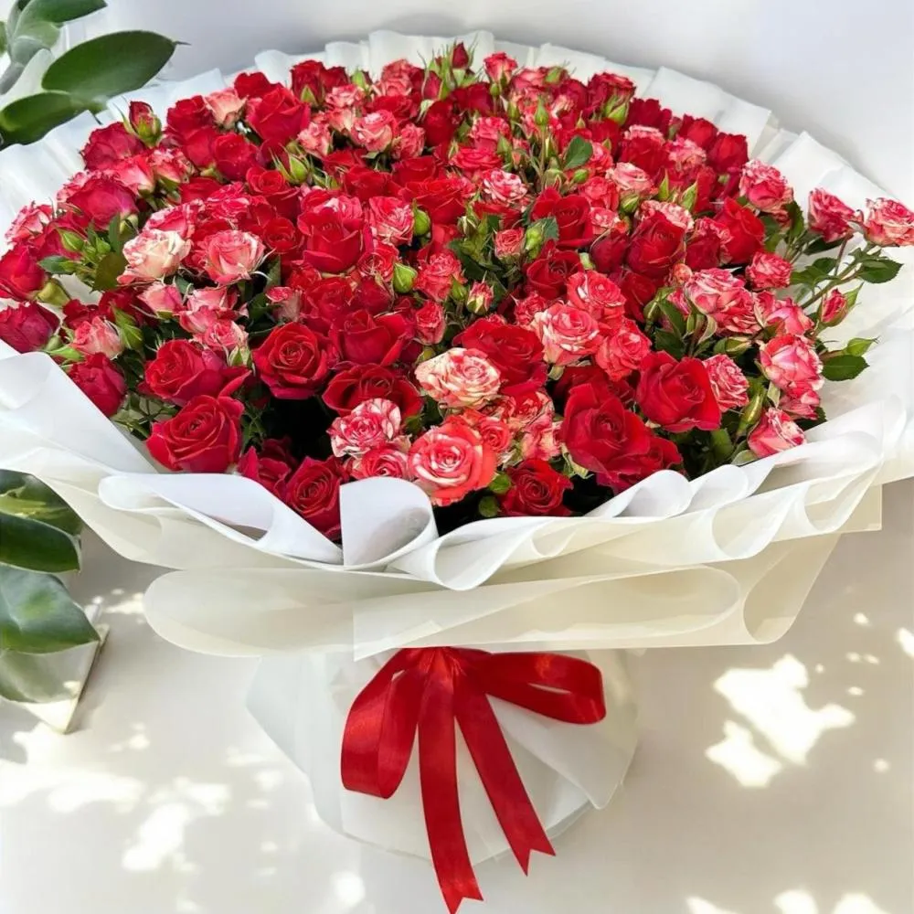 لمحة بصرية لـ أقواس حفلات بالرياض — أقواس حفلات بالرياض